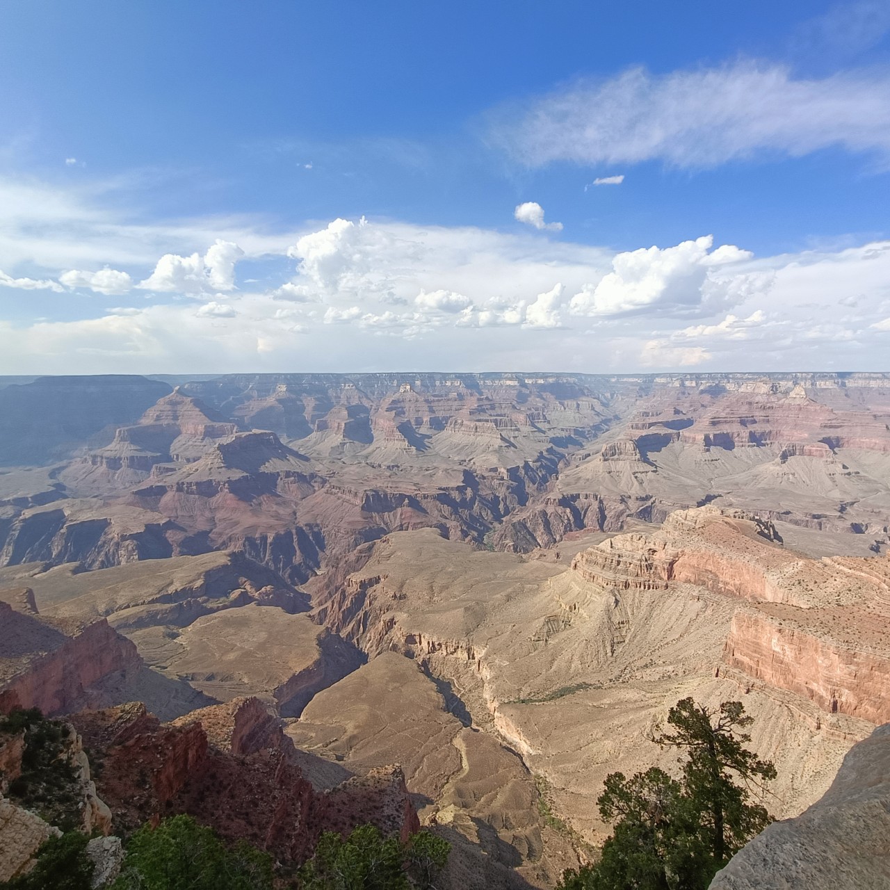 Grand Canyon